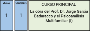 CURSO PRINCIPAL Psicoanálisis Multifamiliar